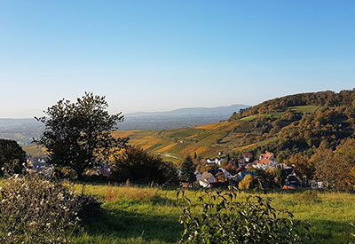 Ansicht Ebringen vom Schönberg